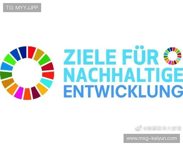 加强足球道德建设全面提升职业道德素养促进行业健康可持续发展