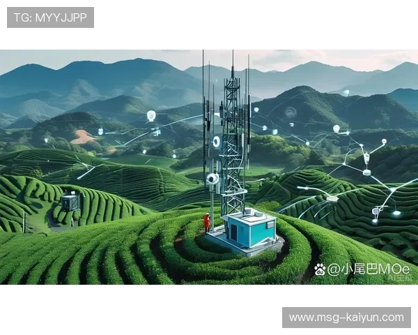 5G原生链路在体系建设期深度整合 确保了户外复杂环境下信号的稳定传输